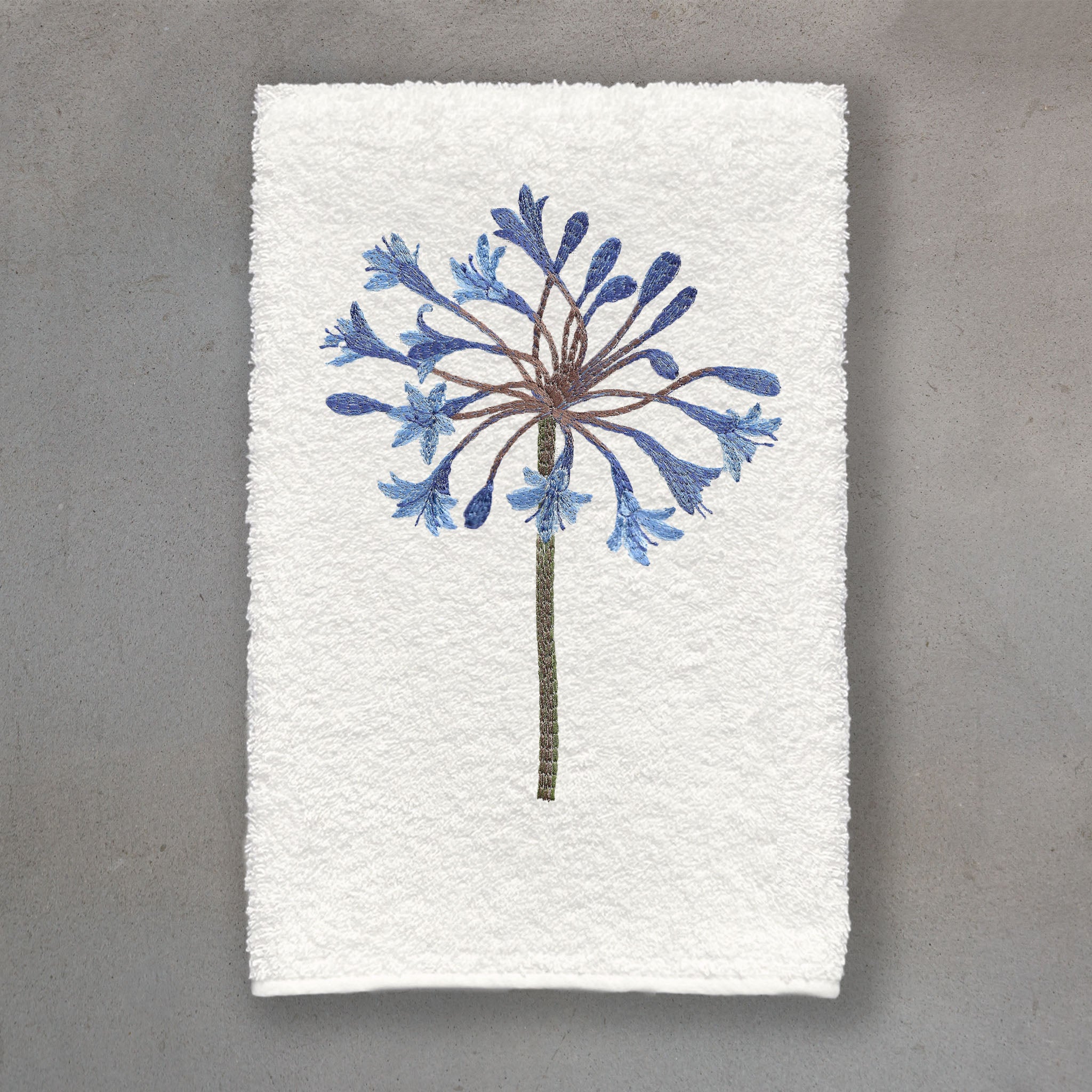 Agapanthus Blue | Ivory Roma