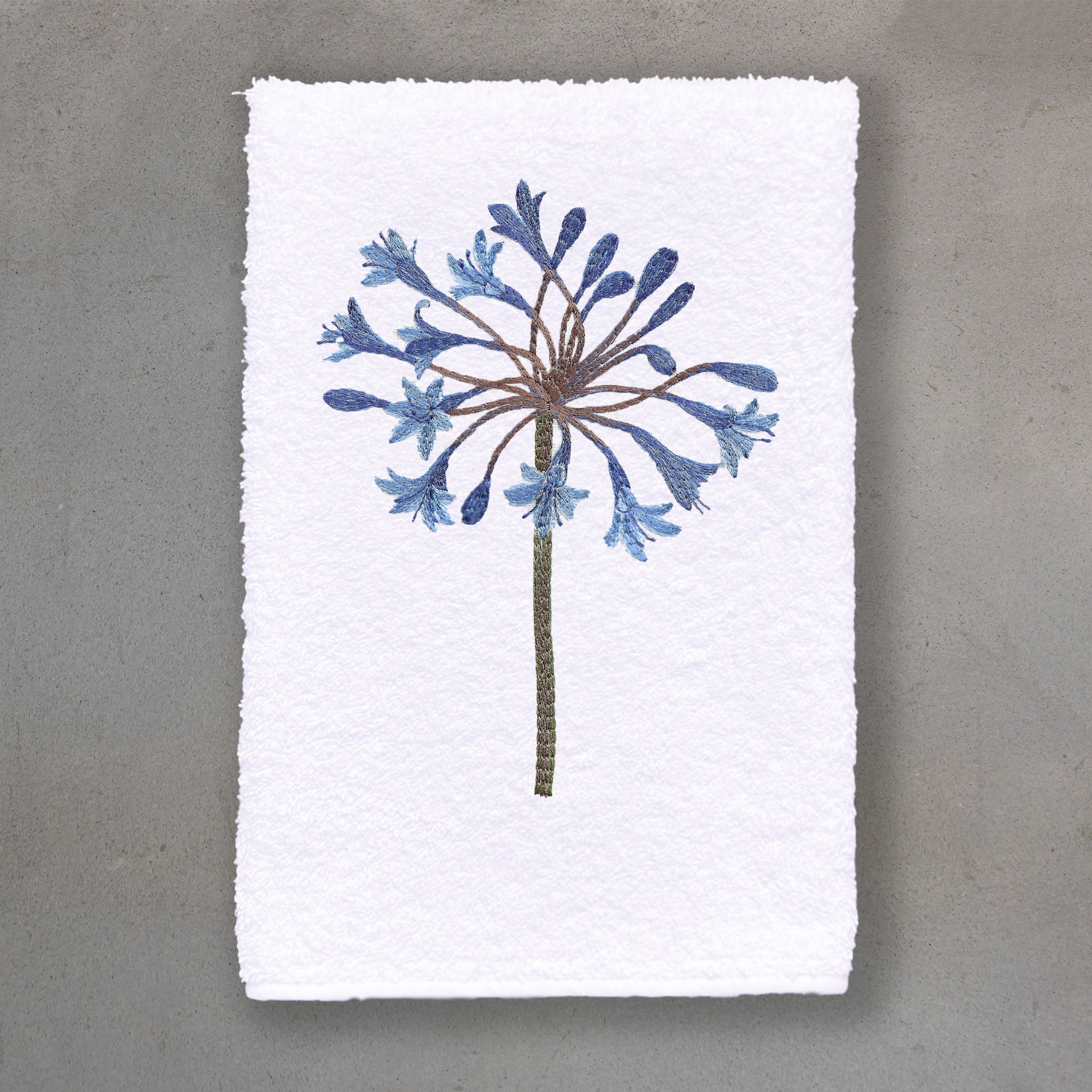 Agapanthus Blue | White Roma