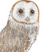 Barn Owl Silver