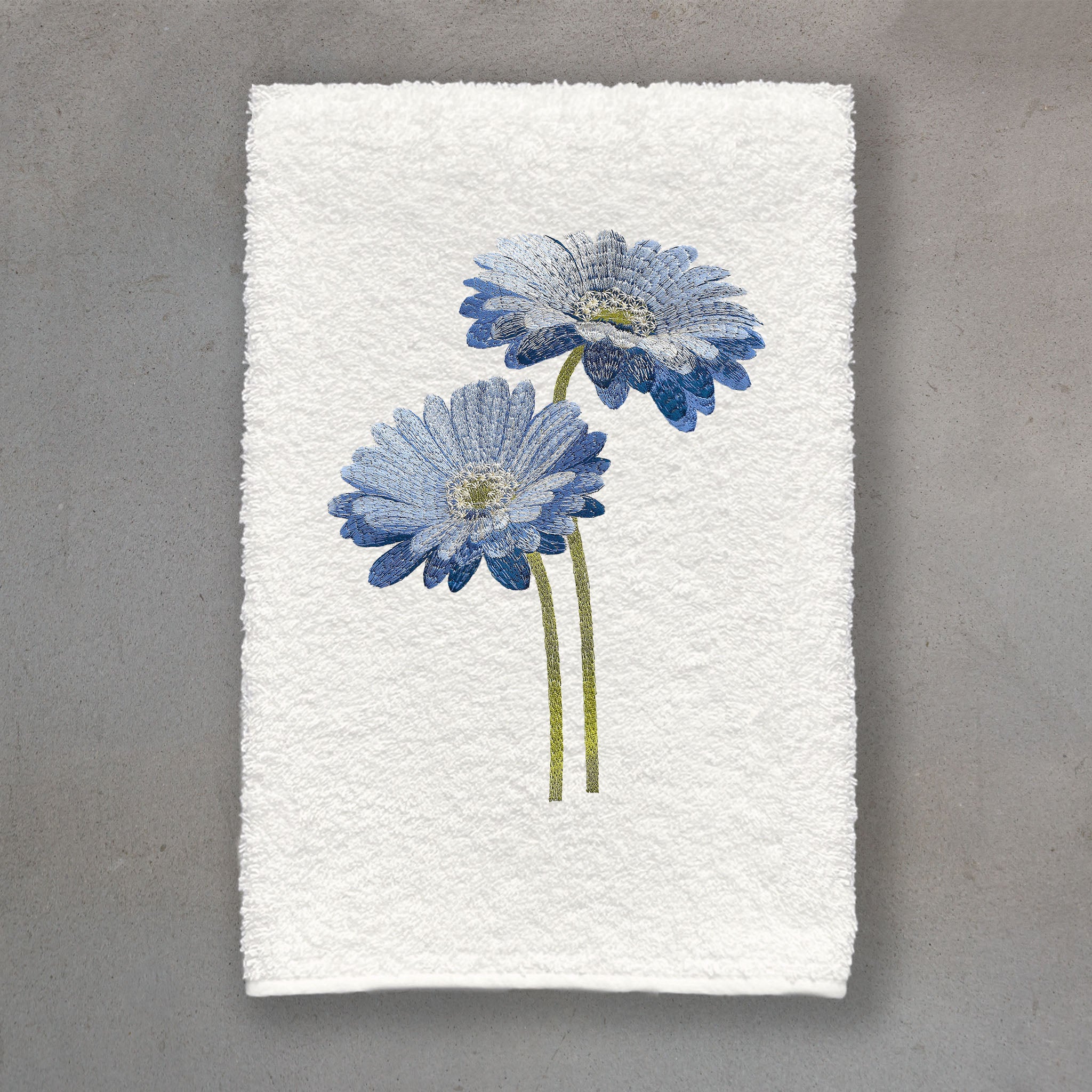 Gerbera Blue | Ivory Roma