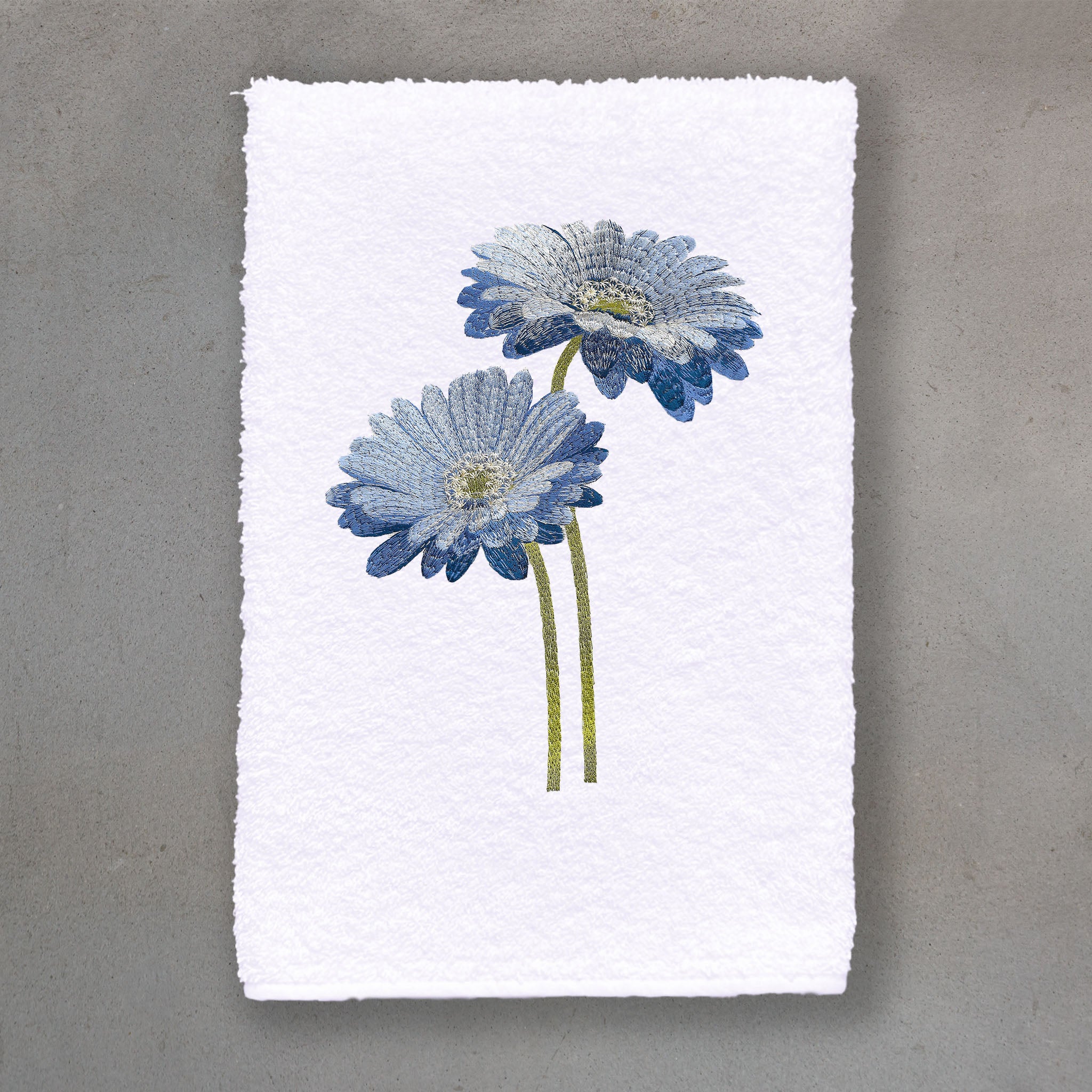 Gerbera Blue | White Roma