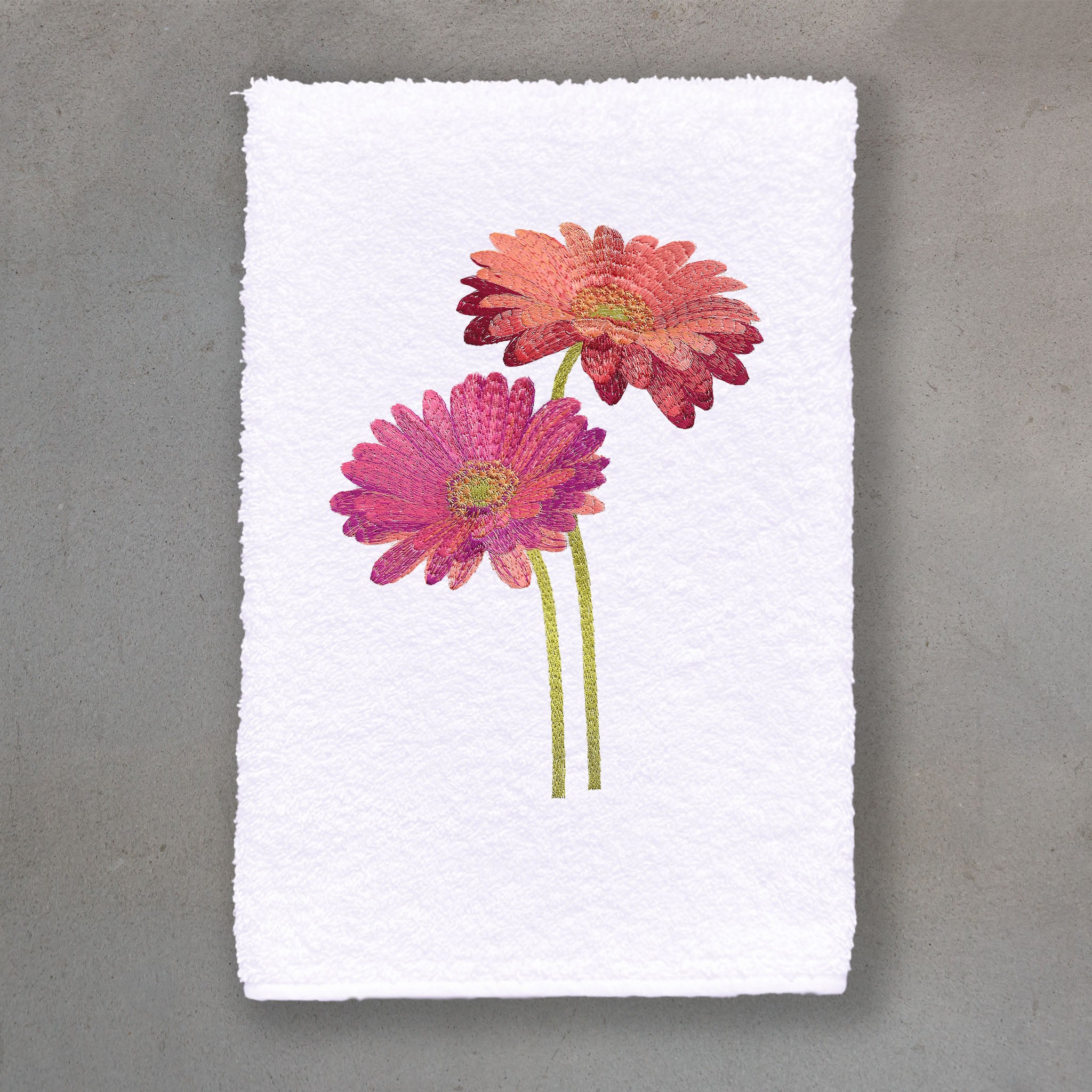 Gerbera Pink | White Roma