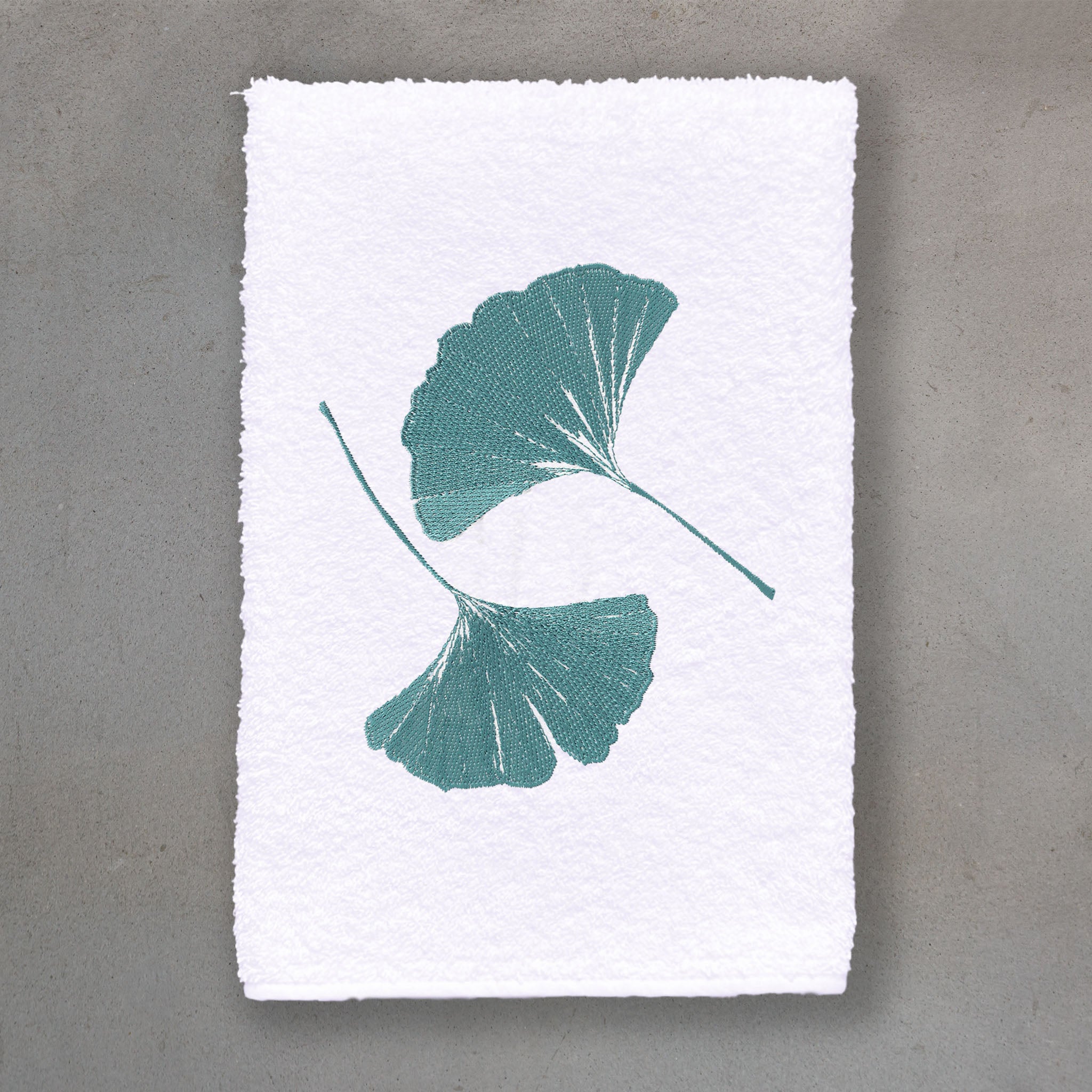 Ginkgo Blue | White Roma