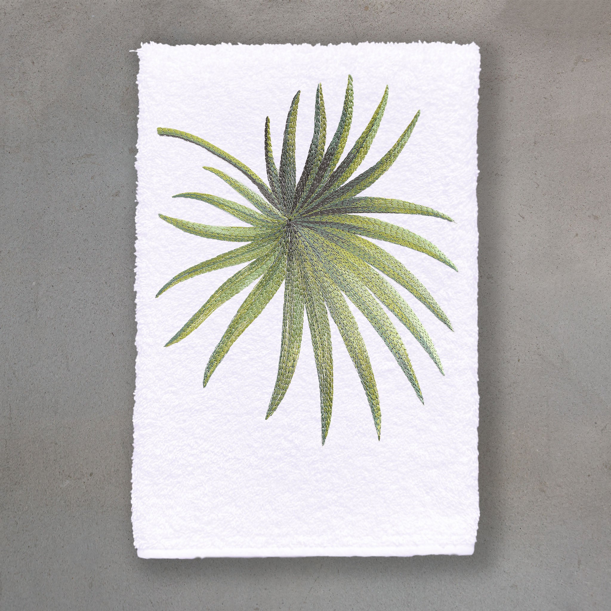 Palmetto Green | White Roma