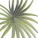 Palmetto Green