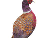 Pheasant Copper