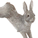 Rabbit Silver